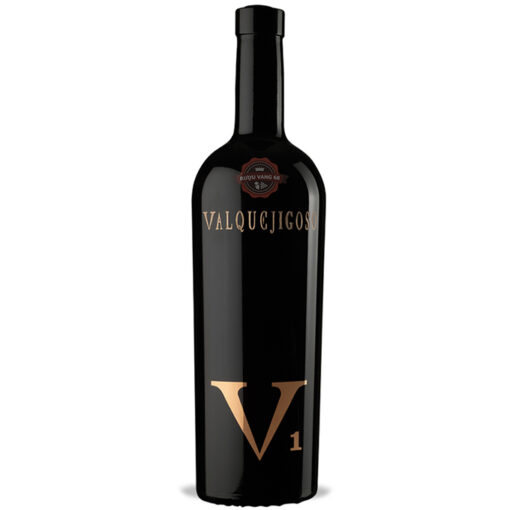 V1 Valpuejigoso 2008