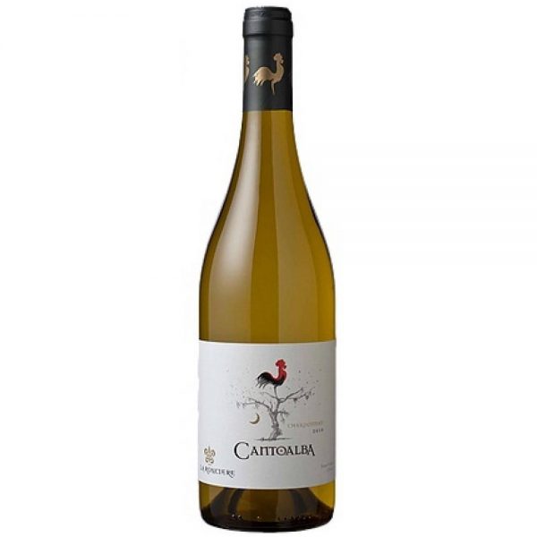 vang chile cantoalba chardonnay