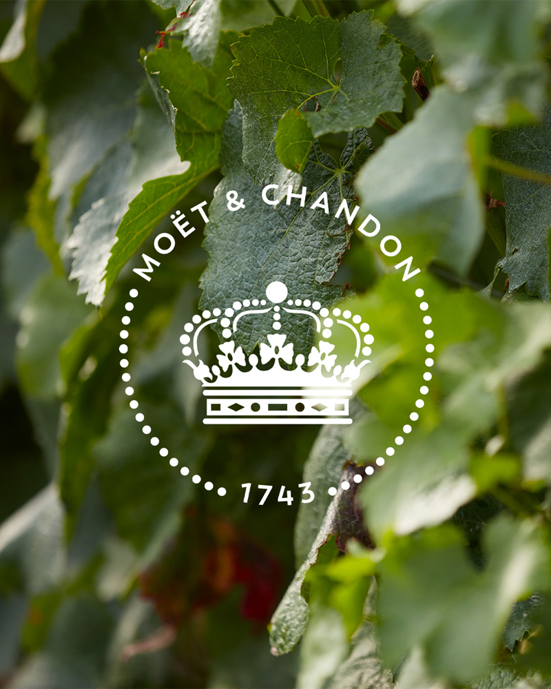 Moet Chandon 2a 1