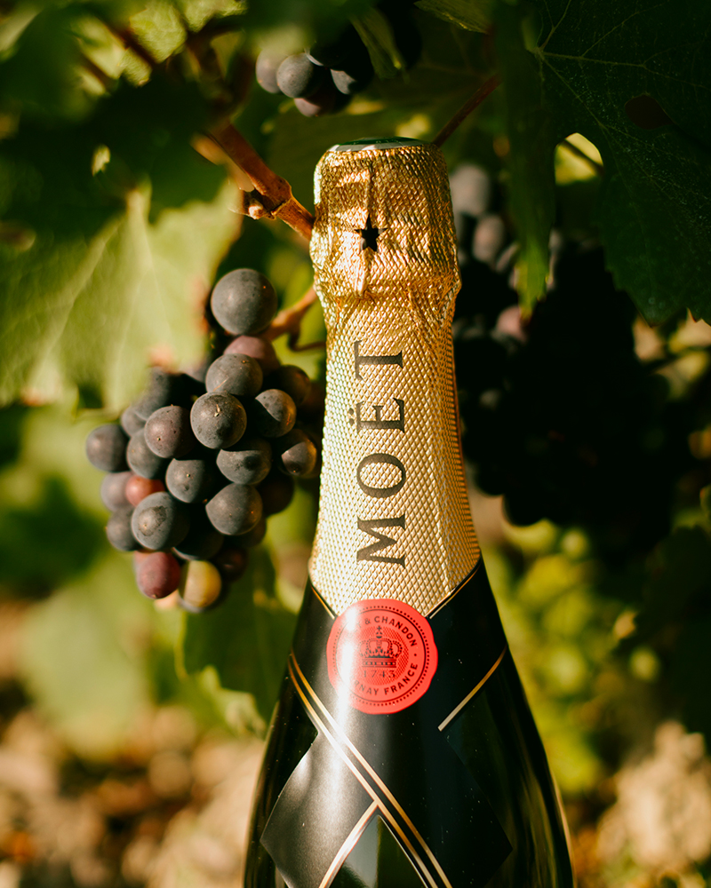 Moet Chandon 3a 1