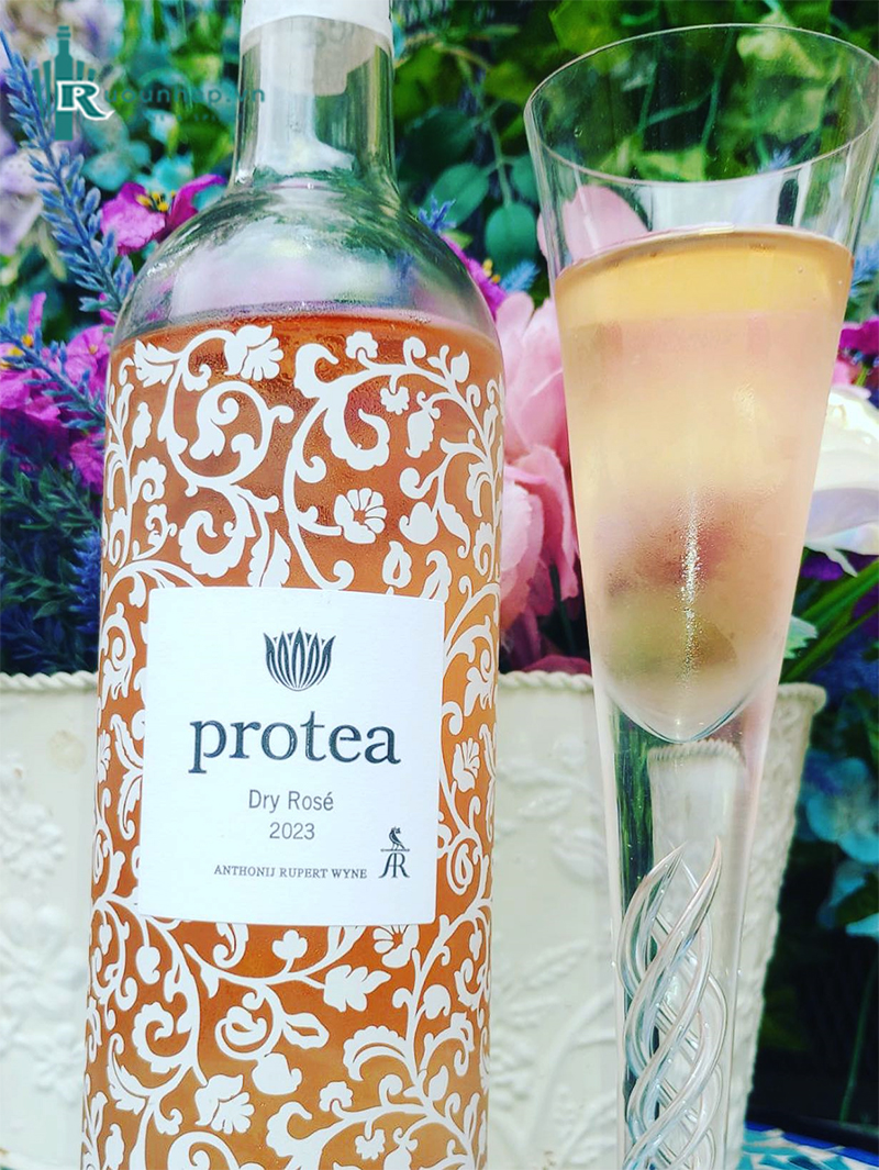 Rượu Vang Protea Dry Rose