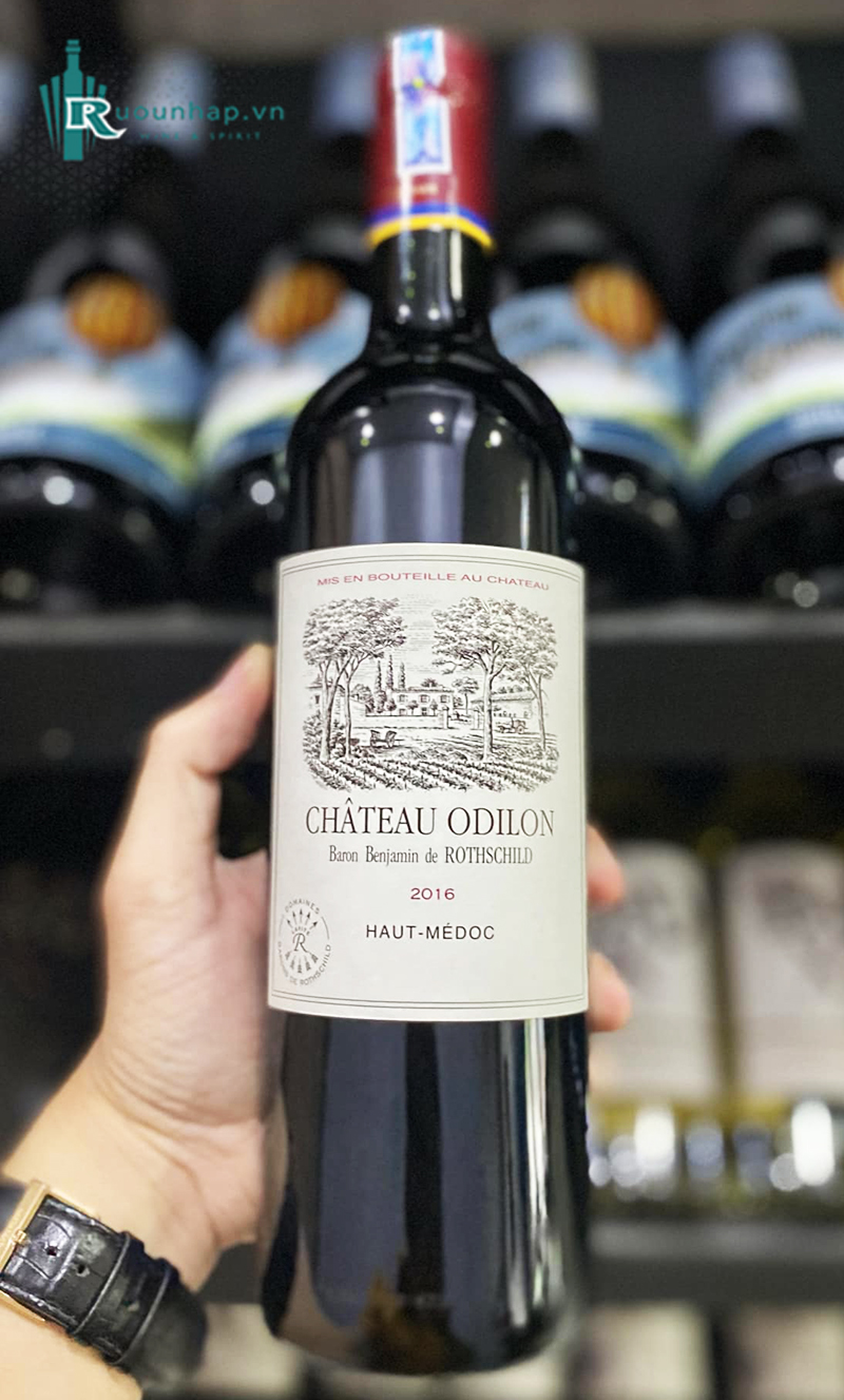 Rượu Vang Chateau Odilon