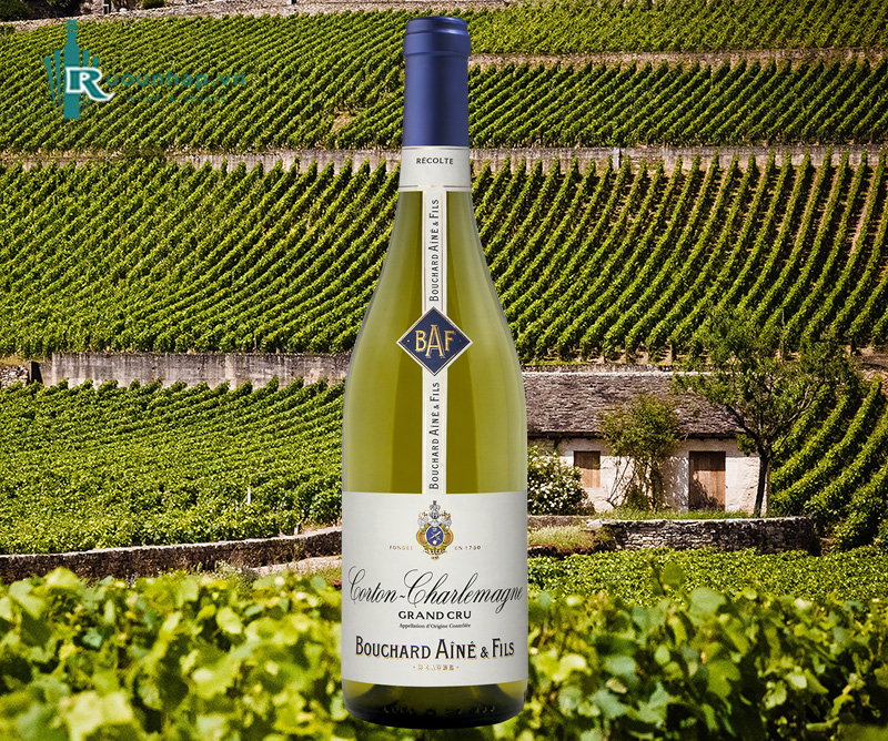 Rượu Vang Bouchard Aine & Fils Corton Charlemagne Grand Cru