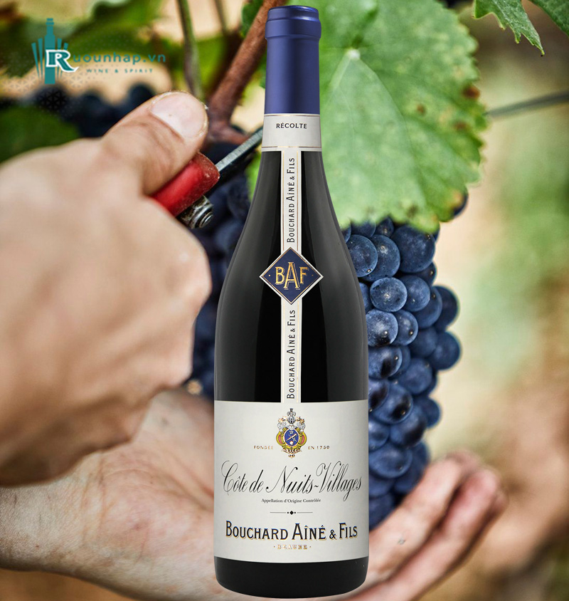 Rượu Vang Cote de Nuits Villages Bouchard Aine & Fils