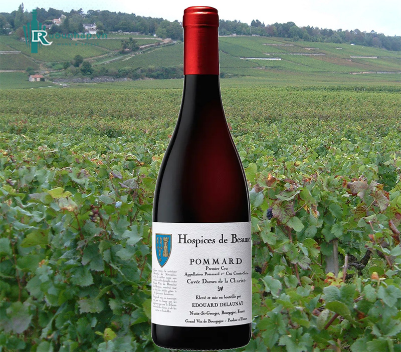 Rượu Vang Hospices de Beaune Pommard 1er Cru Cuvee Dames de la Charite
