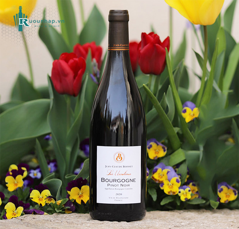 Rượu Vang Jean Claude Boisset Bourgogne Pinot Noir Les Ursuline