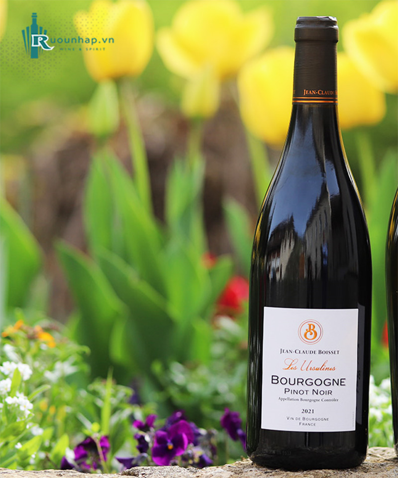 Rượu Vang Jean Claude Boisset Bourgogne Pinot Noir Les Ursuline