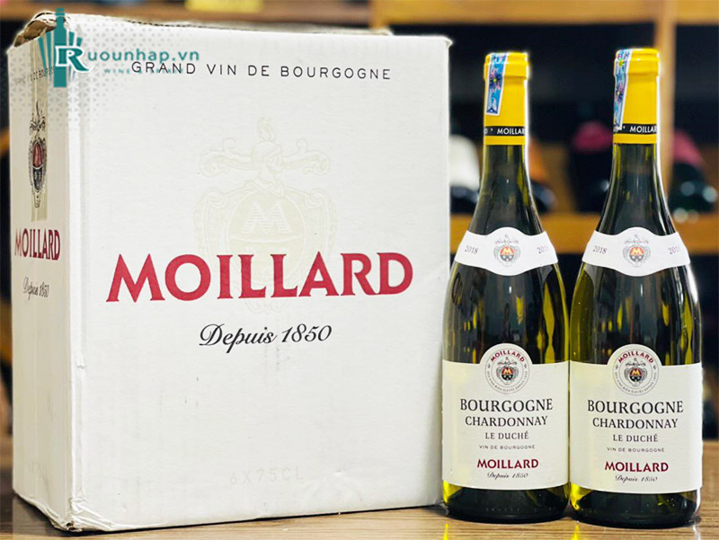 Rượu Vang Moillard Bourgogne Chardonnay