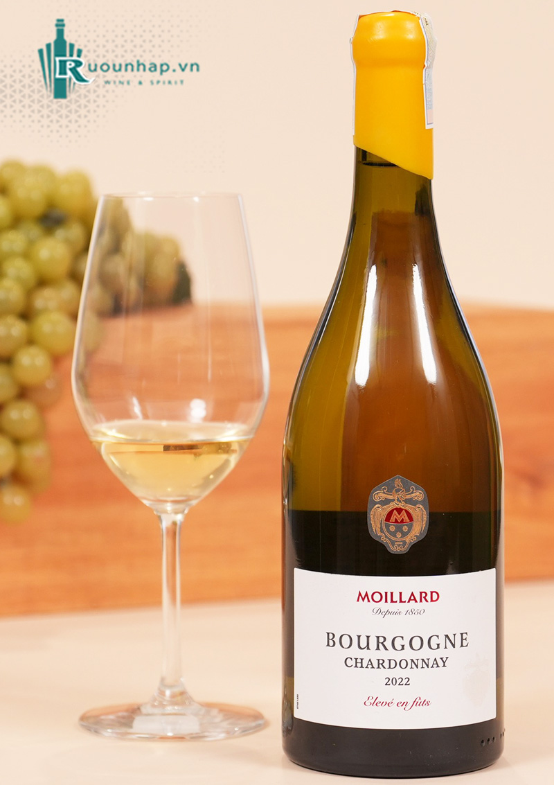 Rượu Vang Moillard Bourgogne Chardonnay Eleve En Futs
