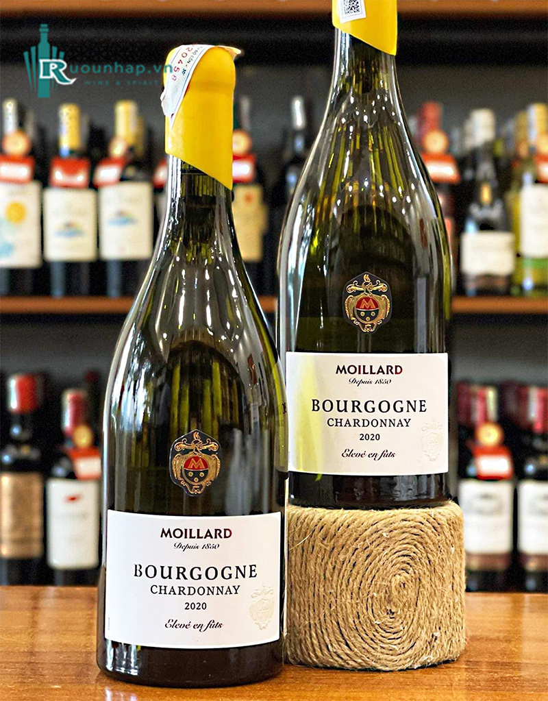 Rượu Vang Moillard Bourgogne Chardonnay Eleve En Futs