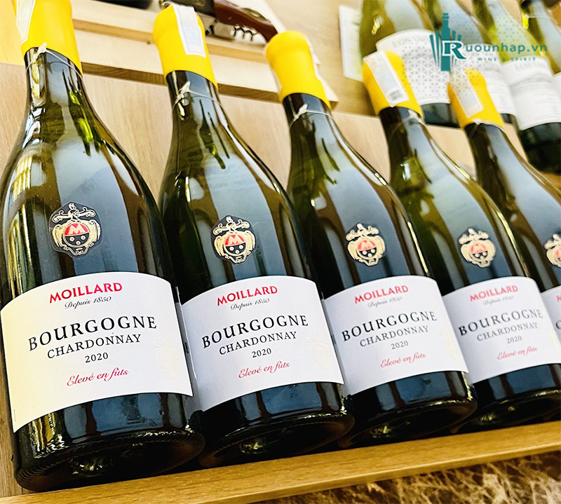 Rượu Vang Moillard Bourgogne Chardonnay Eleve En Futs