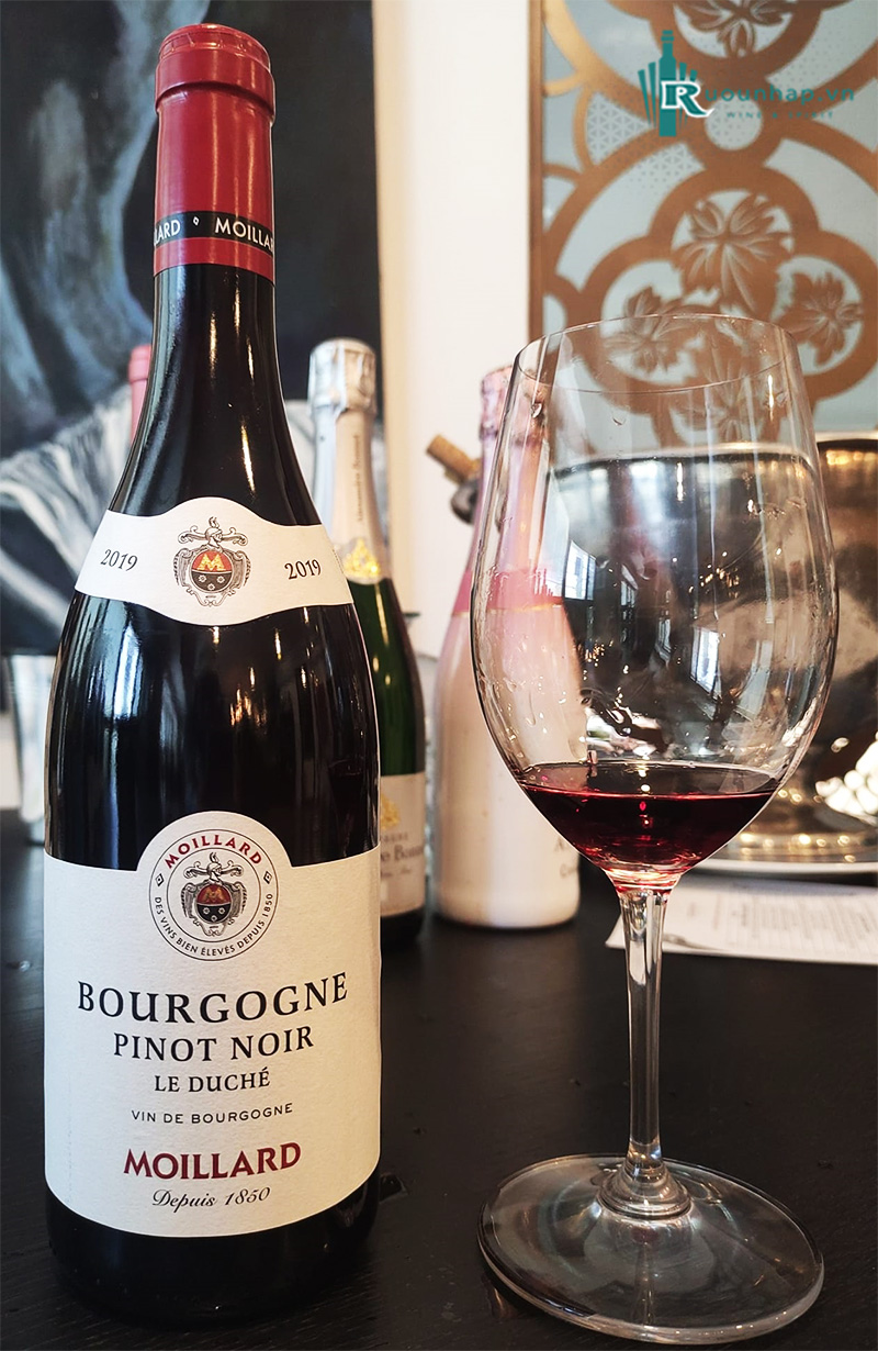Rượu Vang Moillard Bourgogne Pinot Noir
