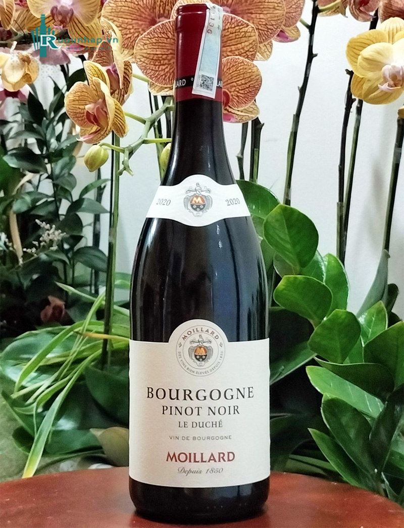 Rượu Vang Moillard Bourgogne Pinot Noir