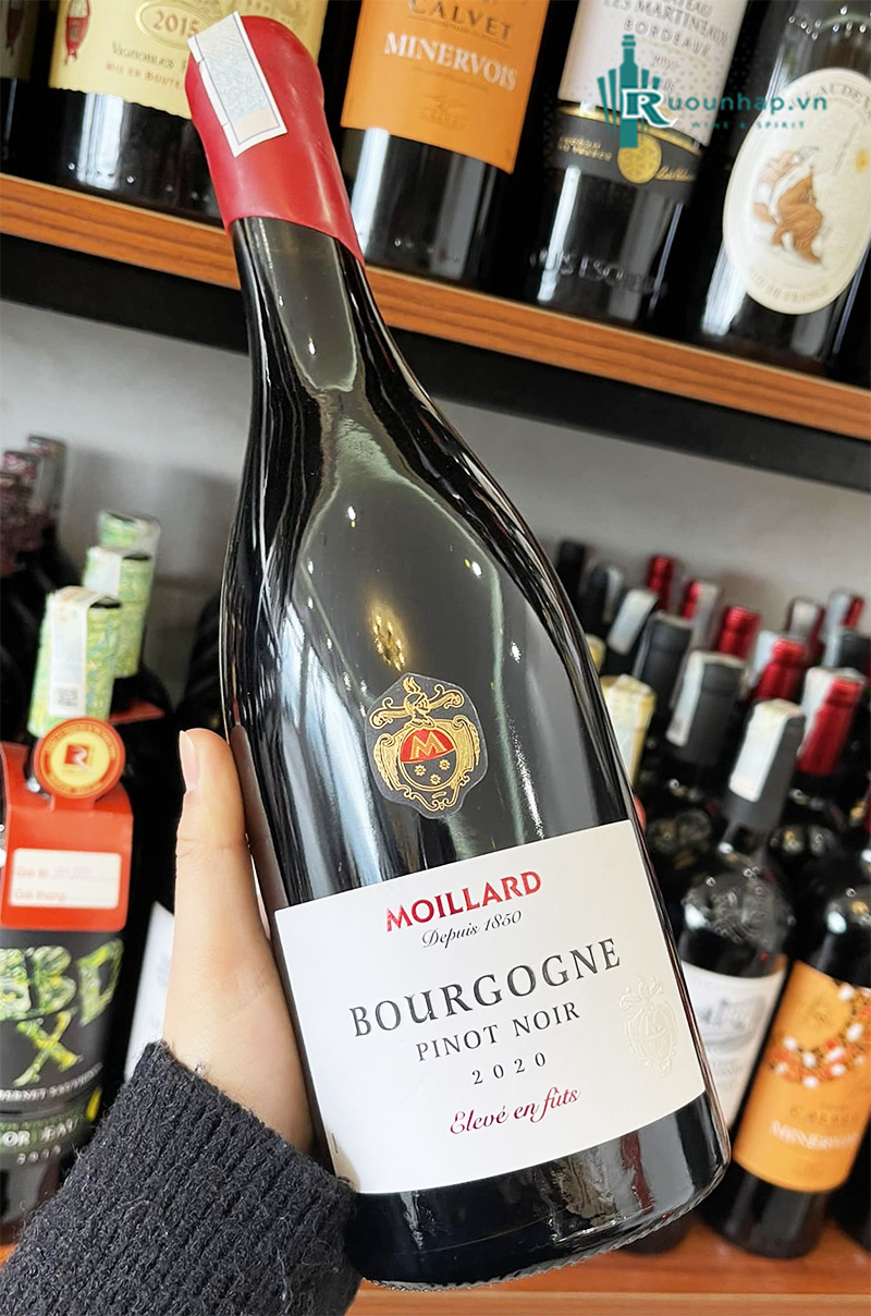 Rượu Vang Moillard Bourgogne Pinot Noir Eleve En Futs