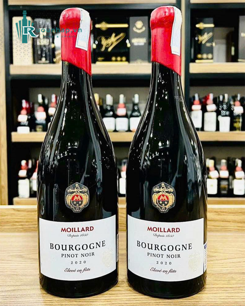 Rượu Vang Moillard Bourgogne Pinot Noir Eleve En Futs