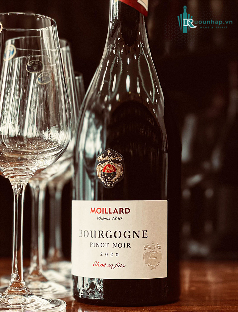 Rượu Vang Moillard Bourgogne Pinot Noir Eleve En Futs