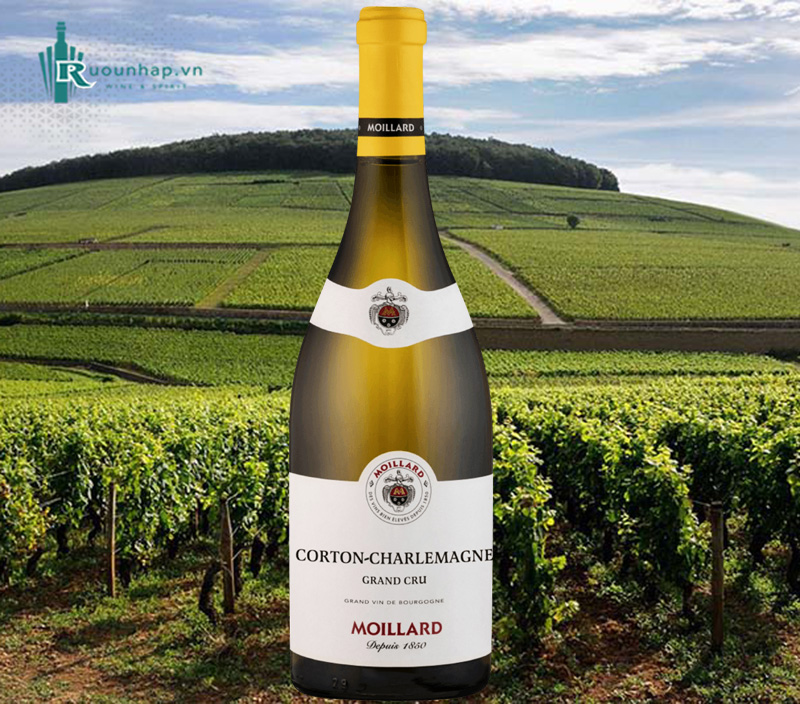 Rượu Vang Moillard Corton Charlemagne Grand Cru