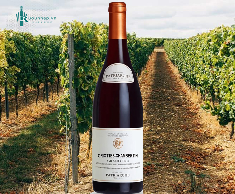 Rượu Vang Patriarche Griottes Chambertin Grand Cru